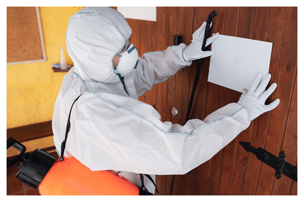 Control de plagas residencial